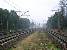 min 459 4.jpg min 459 4.jpg